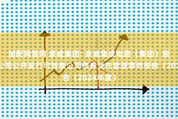 加配网官网 豪威集团: 豪威集成电路（集团）股份有限公司公开发行可转换公司债券受托管理事务报告（2024年度）